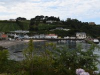 DSC 2501