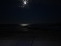DSC 2507