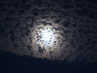 DSC 2520
