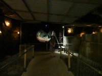 DSC 3550