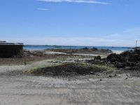 DSC 4116