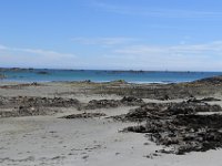 DSC 4119