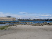 DSC 4123