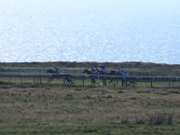 DSC 3187
