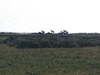 DSC 3193