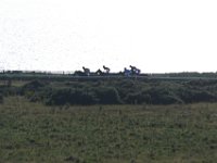 DSC 3194