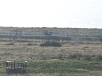 DSC 3282