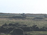 DSC 3283