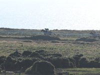 DSC 3284