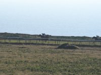 DSC 3292