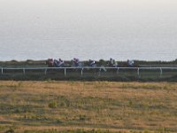 DSC 3434