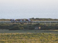 DSC 3442