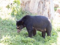 DSC 3633 : Jersey Zoo