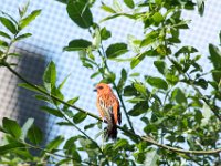 DSC 3671 : Jersey Zoo