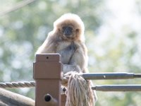 DSC 3733 : Jersey Zoo