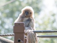 DSC 3735 : Jersey Zoo