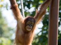 DSC 3740 : Jersey Zoo