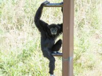 DSC 3790 : Jersey Zoo