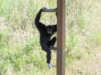 DSC 3791 : Jersey Zoo