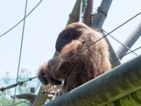 DSC 3798 : Jersey Zoo