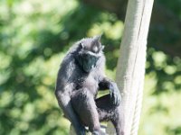 DSC 3834 : Jersey Zoo
