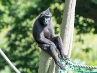 DSC 3839 : Jersey Zoo