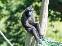 DSC 3840 : Jersey Zoo