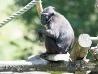 DSC 3843 : Jersey Zoo