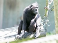 DSC 3853 : Jersey Zoo