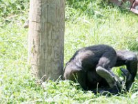 DSC 3902 : Jersey Zoo