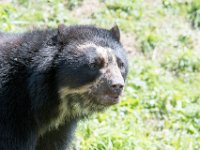DSC 3951 : Jersey Zoo