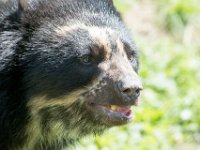 DSC 3960 : Jersey Zoo
