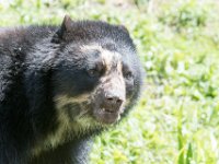 DSC 3972 : Jersey Zoo