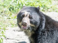 DSC 3974 : Jersey Zoo