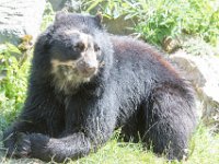DSC 3983 : Jersey Zoo