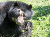DSC 4009 : Jersey Zoo