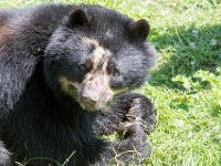 DSC 4010 : Jersey Zoo