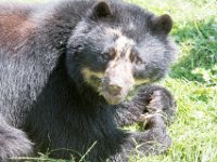 DSC 4011 : Jersey Zoo