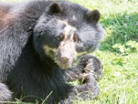 DSC 4012 : Jersey Zoo