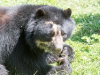 DSC 4014 : Jersey Zoo