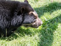 DSC 4018 : Jersey Zoo