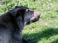 DSC 4027 : Jersey Zoo