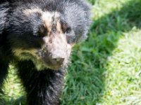 DSC 4031 : Jersey Zoo