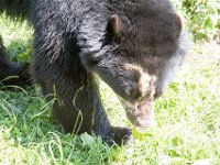 DSC 4040 : Jersey Zoo