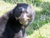 DSC 4044 : Jersey Zoo