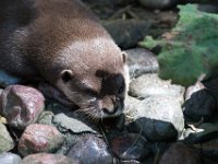 DSC 4077 : Jersey Zoo