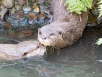 DSC 4084 : Jersey Zoo