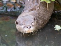 DSC 4087 : Jersey Zoo