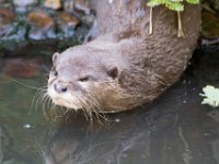 DSC 4089 : Jersey Zoo