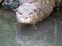 DSC 4090 : Jersey Zoo